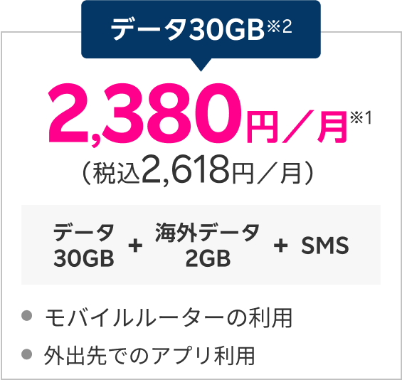 データ30GB