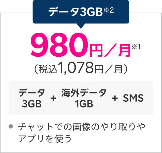 データ3GB